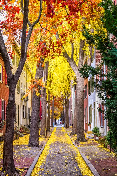 Philadelphia Autumn Streets by SeanPavonePhoto. Philadelphia, Pennsylvania, USA alley in the fall. #Sponsored #Streets, #SeanPavonePhoto, #Philadelphia, #Autumn Philadelphia Street, Philadelphia City Hall, Historic Philadelphia, Autumn Art Print, Jack Ma, Art Prints Wall, Free Art Prints, Philadelphia Pennsylvania, Autumn Art