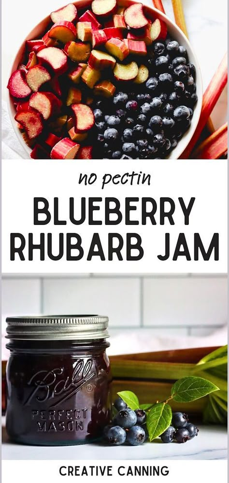 Master the art of jam making without pectin with our No Pectin Blueberry Rhubarb Jam, a staple in our canning jam recipes. This jam combines blueberries and rhubarb for a rich flavor profile with a lovely tartness, making it a great addition to any pantry. Ideal for those who prefer to use natural thickening methods. Explore more homemade jam recipes for canning and preserving fruit in jars at creativecanning.com Bluebarb Jam, Rhubarb Canning Recipes, Jam Recipes For Canning, Fruit In Jars, Homemade Jam Recipes, Blueberry Rhubarb Jam, Canning Fruit Recipes, Recipes For Canning, Preserving Fruit