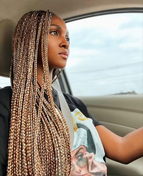 Medium Knotless Box Braids Blonde And Brown, Hair Colour Ideas For Braids, Multi Colored Blonde Box Braids, 350 Box Braids Color Mixed, Box Braids With Mixed Colors, 27 Color Box Braids, Coloured Knotless Braids For Black Women, Brown Blonde Ombre Braids, Brown And Blond Braids Black Women