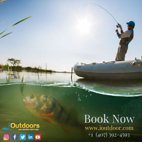 Though it is famous for racing, cars, motorcycles, boats and, bike week, you wouldn't want to miss the variety of fishing, Daytona has to offer. iOutdoor Fishing Adventure has a team of local experts, who would take you on deep-sea fishing on one of the best Daytona fishing charters. Compare and book now. Sea Angling, Crappie Fishing Tips, Salt Water Fishing, Fishing Bobber, Crappie Fishing, Fishing Adventure, Fishing Charters, Deep Sea Fishing, Beach Fishing