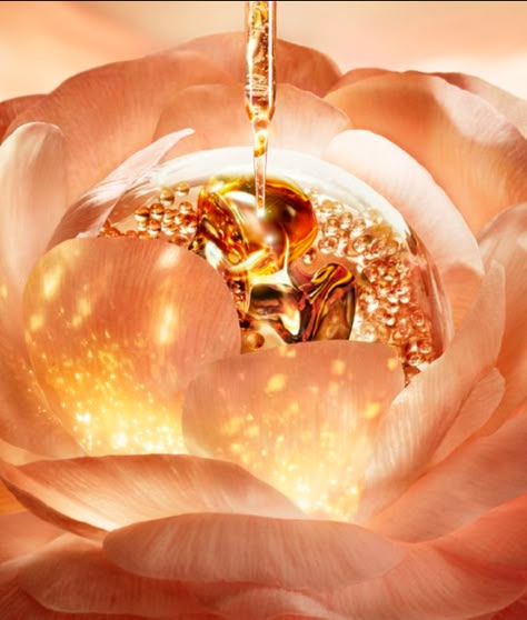 Lancome Rose, Celine Paris, Retail Design Display, Luxurious Skincare, Beauty Essence, Jesus Christ Art, Texture Images, Floral Studio, Power Of Nature