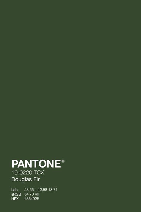 Get ready for winter with the fresh and cozy PANTONE Gouglas Fir 19-0220 TCX green. This color will give your wardrobe an instant refresh and keep you feeling warm without compromising style. Get your grinch on early with green! #PantoNE #PineGrove #WinterWardrobe #green #wintercolor Forest Green Color Swatch, Dark Green Color Swatch, Pantone Shades Of Green, Forest Green Shades, Fall Green Aesthetic, Green Pantone Colors, Green Pantone Palette, Forest Green Pantone, Shades Of Green Aesthetic