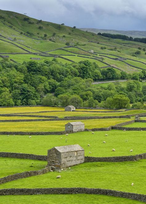 England Countryside, Countryside Landscape, Last Ride, British Countryside, Stone Walls, Yorkshire Dales, England And Scotland, Landscape Pictures, England Uk