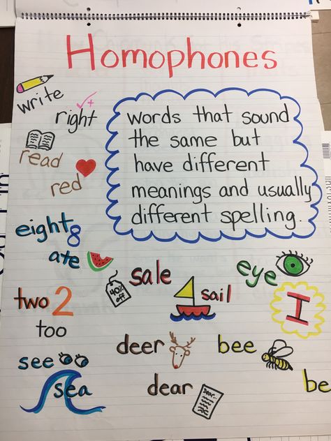 English Homophones, Homophones Anchor Chart, First Grade Homeschool, Plant Classroom, Glad Strategies, Grammar Anchor Charts, Teach Phonics, Classroom Charts, Grammar For Kids