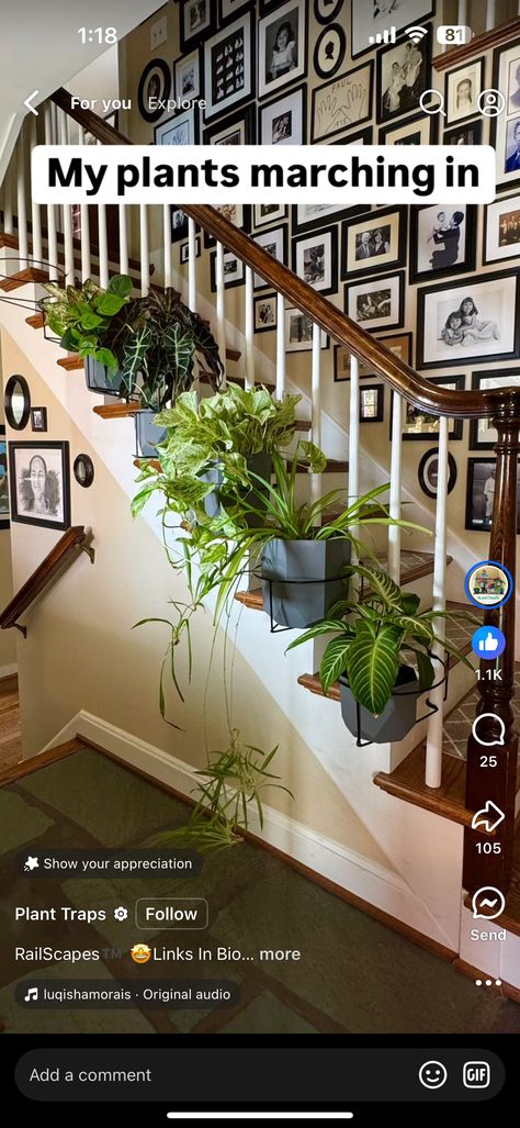 Stairs With Plants Interiors, Plants On Stairs Indoors, Staircase Plants Indoor, Plant Goals, Household Plants, Apartment Decor Ideas, Stair Steps, Plant Shelves, Stair Railing