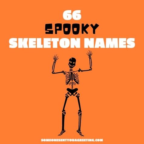 66 Spooky Skeleton Names to Tickle your Funny Bone - Someone Sent You A Greeting Skeleton Names Of Bones, Skeleton Puns Halloween, Skeleton Quotes Halloween, Skeleton Sayings Halloween, Decorating With Skeletons, Skeleton Sayings, Skeleton Names, Skeleton Jokes, Skeleton Quotes