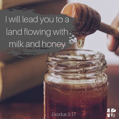 The Land Of Milk And Honey, Electronic Illustration, Land Of Milk And Honey, Exodus 3, God's Voice, Scripture For Today, Honey Water, Filling Food, God Will Provide