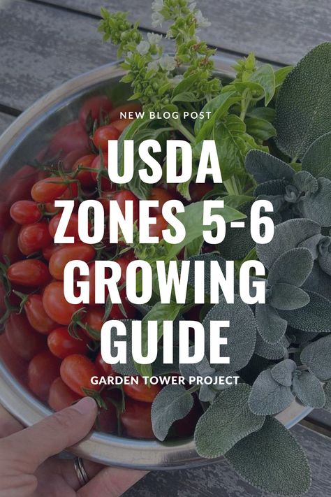 When To Plant Vegetable Garden In Zone 6, Zone 5 Garden Layout, Zone 6a Gardening, Zone 6 Gardening, Zone 5 Gardening, Greenhouse Goals, Zone 5 Garden, Growing Vegetables In Pots, Garden Prepping