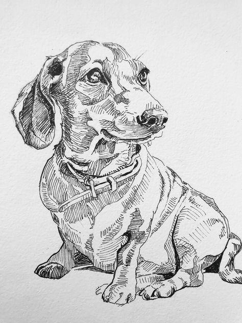 Pet Drawings Easy, Puppy Crafts, Mini Portrait, Black White Portrait, Pet Picture, Dog Drawings, Pet Drawing, Pencil Sketch Images, Personalized Pet Gifts