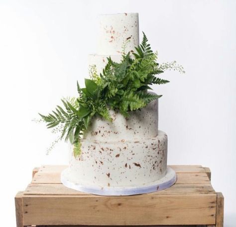 Wedding Cake With Fresh Fern & Other Greenery Fern Wedding Decor, Woodland Wedding Cake, Wedding Cake Greenery, Fern Wedding, Spring Cake, Wedding Cake Flavors, Warm Cake, Rustic Wedding Cake, Wedding Cakes With Cupcakes