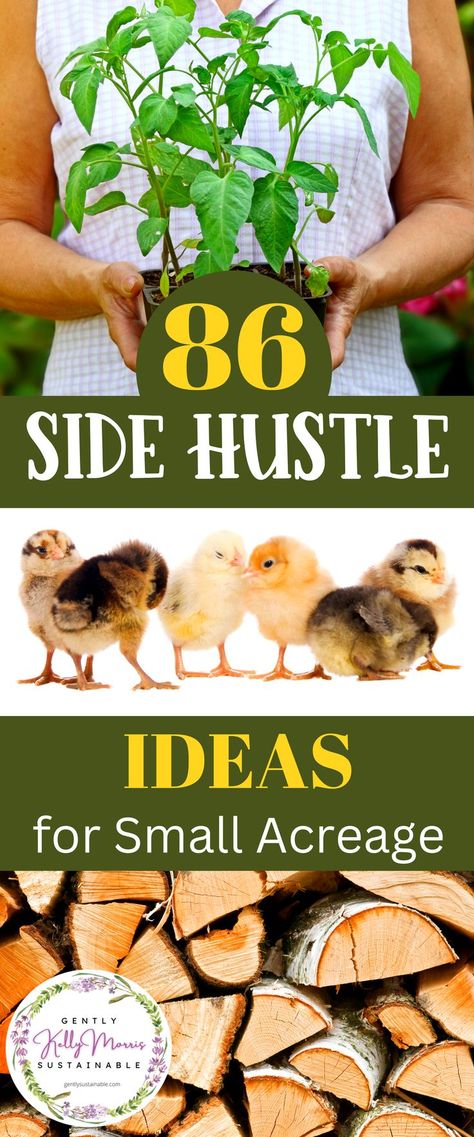 Farm Market Ideas, Homesteading Diy, Ideas To Make Money, Homestead Farm, Homesteading Skills, Urban Homesteading, Side Hustle Ideas, Diy Money, Living Off The Land