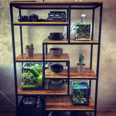 Aquarium Shelf Ideas, Fish Tank Shelf Ideas, Fish Tank Shelves, Fish Tank Rack Ideas, Fish Tank Shelf, Bookshelf With Fish Tank, Aquarium Rack Ideas, Fish Tank Rack, Bookshelf Plants