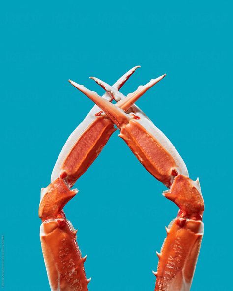 Crab Aesthetic, Lobster Sweater, Domino's Pizza, Sea Change, Crab Art, Crab Claw, Crab Claws, King Crab, Crab Legs