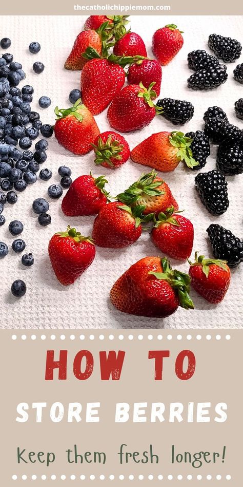 tips on washing and storing berries in the fridge so they last longer Storing Berries, Washing Berries, Hippie Mom, How To Store, Fresh Berries, Helpful Hints, Healthy Snacks, Mason Jars, Snacks