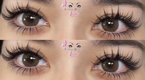 6d Lash Extensions, Barbie Eyelash Extension, Manhwa Eyelash Extensions, Top And Bottom Lashes Extensions, Eyelash Extensions Anime Style, Anime Style Eyelash Extensions, Anime Manga Lashes Extensions, Canny Beauty Lashes, Lash Extensions Styles With Bottoms