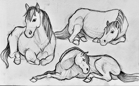 Sleeping Horse Drawing, Horse Herd Drawing, Horse And Person Drawing, Animal Laying Down Drawing, Horse Drawing Reference Poses, Horse Lying Down Drawing, Horse Sitting Down Drawing, Horse Laying Down Reference, Horses Laying Down