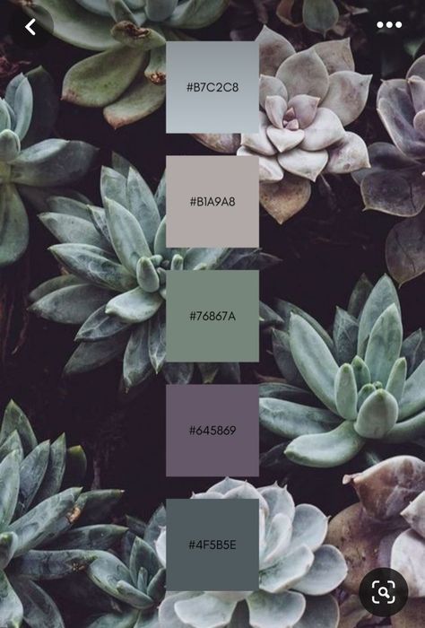 Rosemary Green Color Palette, Down To Earth Color Palette, Zen Color Palette Colour Schemes, Purple And Green Office, Succulent Paint Color, Color Design Inspiration, Hex Color Palette, Paint Color Inspiration, House Color Palettes