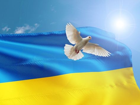 Pray for Peace Pray For Ukraine, Pray For Peace, Us Border, Encouraging Scripture, Public Domain Images, Scripture Verses, Trust God, Our World, All Over The World