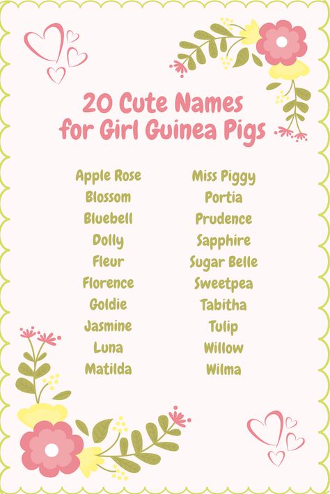 Cute Names For Rabbits, Cute Names For Hamsters, Pig Names Ideas, Cute Bunny Names List, Guinea Pig Names Male, Guinea Pig Names Girl, Cute Pet Names Animals, Names For Bunnies, Hamster Names Ideas