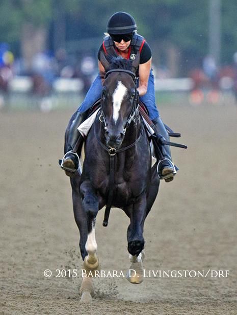 HONOR CODE this morning at SAR. @DRFGrening : Honor Code...goes 1-2 in 49.73, last 1-4 in 24.38, over main. Honor Code, Preakness Stakes, Triple Crown Winners, Belmont Stakes, Thoroughbred Horse Racing, Racing Photos, Race Horses, Thoroughbred Horse, Triple Crown