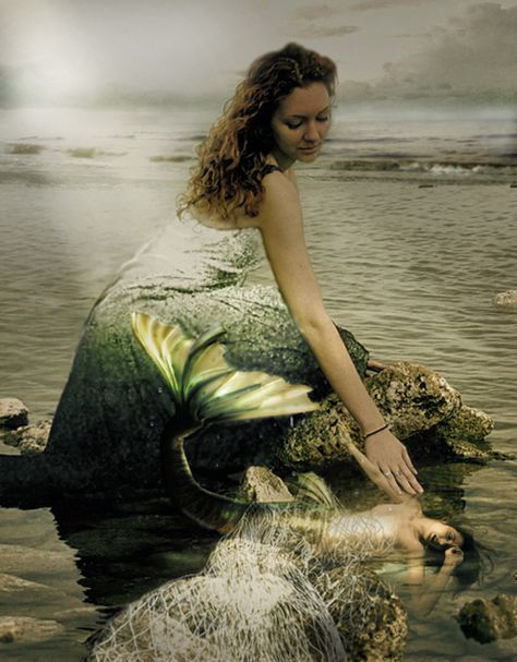 Caught in the net by patriciabrennan on DeviantArt Whale Song, Mermaid Images, Sea Siren, Rainy Sunday, Water Spirit, Mermaid Under The Sea, Mermaid Pictures, Ocean Pictures, Figure Poses