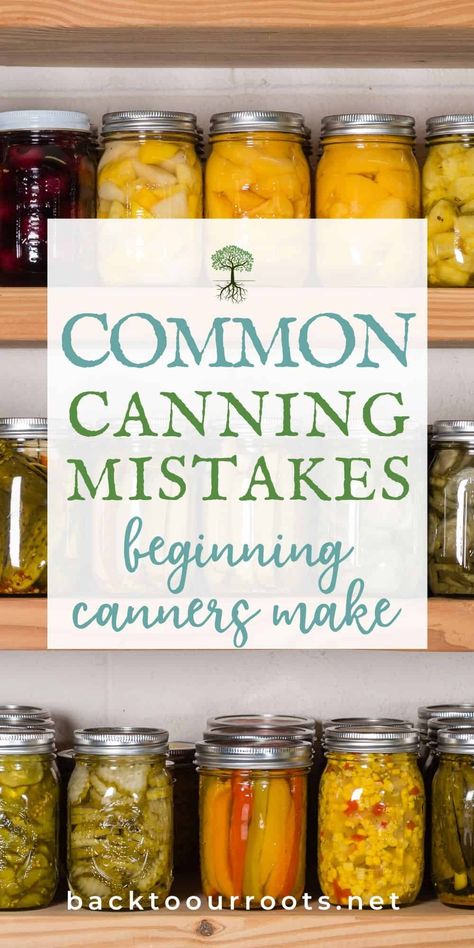 Pantry Basics, Canning Equipment, Easy Canning, Pressure Canning Recipes, Eat Meals, Canning 101, Modern Homestead, Low Acid Recipes, Canning Fruit