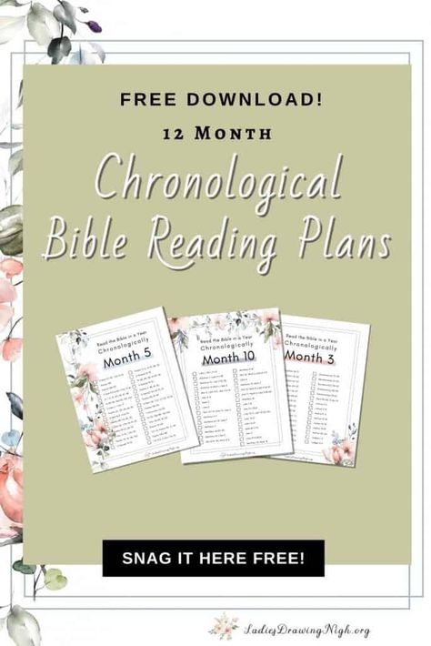 Bible Study Reading Plan Free Printable, Bible Reading Schedule Free Printable, Bible Reading Plan Chronological Free Printable, Bible In A Year Plan Chronological, Free Printable Bible Reading Plan, Chronological Bible Study, Read The Bible In A Year Chronological, Read Bible In A Year Plan Free Printable, Free Chronological Bible Reading Plan