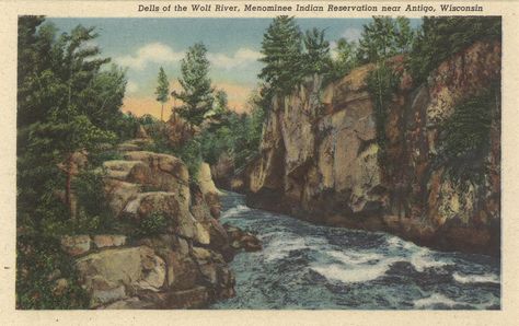 Dells of the Wolf River, Menominee Indian Reservation near Antigo, Wisconsin © 1941 by Curt Teich & Co., Inc., Chicago, U.S.A. Minocqua Wisconsin, Vintage Wisconsin, Northern Wisconsin, Lord Huron, Indian Reservation, Postcard Book, Pretty Stuff, The Wolf, Room Posters