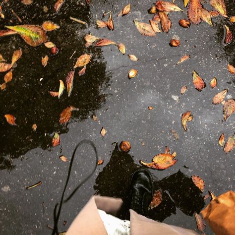 Instagram post by Tami. • Oct 1, 2020 at 5:57pm UTC Autumn Fall Aesthetic, Rain And Coffee, Cozy Rainy Day, Fall Friends, Rainy Day Aesthetic, Fall Dates, Autumn Rain, Best Friends Aesthetic, Fall Photoshoot