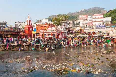 Ganga River Pollution, Ganga Action Plan, Pollution Of Ganga River, Pollution Pictures, Marvel Art Drawings, River Pictures, Cute Bunny Pictures, Water Pollution, Queen Aesthetic