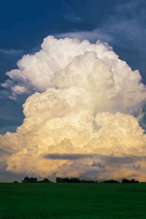 white Cumulus clouds photo – Free Image on Unsplash Picture Cloud, Thunderstorm Clouds, Plains Landscape, Free Sky, Weather Cloud, Cumulus Clouds, Reference Photos For Artists, Cloud Photos, Clouds Photography