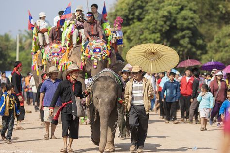 The elephant is considered as a national animal in Laos for a very long time. For years, it has been the symbol of propensity and represents the strength of the nation. In Laos, people pay their respect for this special animal through festivals and ceremonies. Let’s find out the reason behind it and take one step closer to Laotian belief and culture. Dog Captions For Insta, Laos Country, Elephant Festival, Laos Culture, Laos Travel, Wild Elephant, National Animal, Legends And Myths, Vientiane