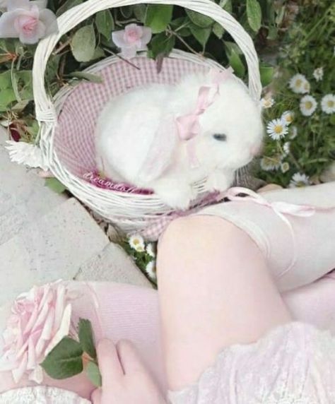 Cute Bunny Pictures, Cute Stuff, Bunny Pictures, Visual Aesthetics, Baby Bunnies, Fluttershy, White Rabbit, Cute Little Animals