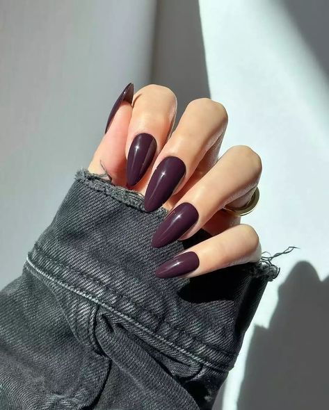 25 Dark and Moody Winter Nail Looks Moody Nails, Winter Nail Color, Dark Color Nails, Berry Nails, Boho Nails, Thanksgiving Nail Designs, Nail Looks, Nail Colors Winter, Dark And Moody