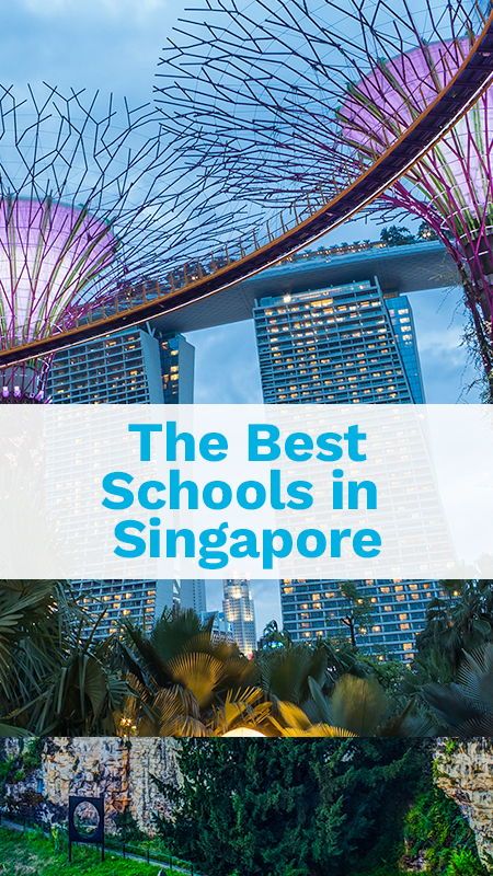 Best Schools in Singapore Many schools in Singapore offer first class education. Discover our selection of the Best International Schools in #Singapore Singapore School, Math Board, Best Schools, Singapore Art, Asian Culture, Tuition Fees, Boarding School, International Day, International School