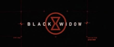 Natasha Romanoff Banner, Black Widow Red Room, Black Widow Aesthetic, Наташа Romanoff, We Have A Hulk, Sting Like A Bee, Black Widow Movie, Float Like A Butterfly, Black Widow Natasha