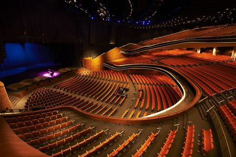 the star vista singapore - Google Search Theatre Auditorium, Auditorium Plan, School Building Plans, Wood Sound Diffuser, Auditorium Architecture, Dru Hill, Concert Hall Architecture, Church Building Design, Auditorium Design