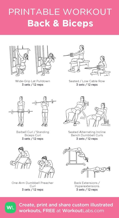 Rutina de bíceps Back And Bis, Back And Bicep Workout, Workout Morning, Workout Labs, Back Workout Women, Printable Workout, Gym Workout Plan For Women, Printable Workouts, Gym Routine