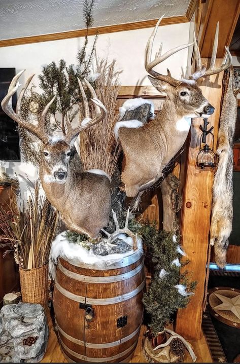 Antler Shed Display Ideas, Deer Mounts Ideas, Cool Deer Mounts, Pallet Dyi, Hunting Mounts, Deer Mount Decor, Taxidermy Shop, Deer Mount Ideas, Turkey Mounts