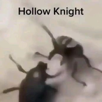 Good Night Videos, Top Down Game, The Hollow Knight, Hollow Knight Art, Dibujo Simple, Hollow Night, Video Meme, Hollow Art, Memes Video