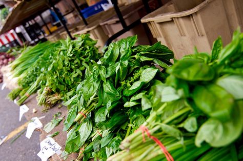 Pick and pack your herbs so they stay fresh for market. Farm Market Ideas, Farm Marketing, Roadside Stand, Farmers Market Stand, Farmers Market Display, Herb Farm, Market Ideas, Market Garden, Farm Market