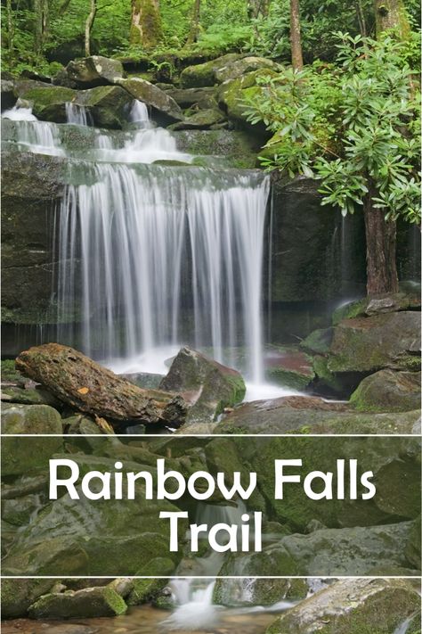 Rainbow Falls Trail is a very busy trail even though it is rated "strenuous". The waterfalls are the main attraction as you would expect. However, there are other things to enjoy on this trail. The spring wildflowers are colorful and there are scenic views worthy of a photo. Come early, especially in summer. Hundreds of people hike this trail daily and parking can get crazy. For more information follow the pin to the website. Rainbow Falls Tennessee, Tennessee Adventures, Asheville Hiking, Travel Tennessee, Tennessee Family Vacation, Georgia Hiking, Rome Tips, Gatlinburg Tennessee Vacation, Tennessee Waterfalls