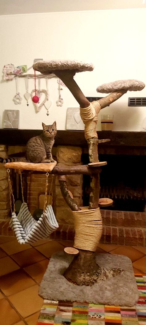 Cat Tree For Older Cats, Build A Cat Tree Diy, Real Branch Cat Tree, Tree Trunk Cat Tree, Cat Tree Ideas Homemade, Home Made Cat Tower, Cat Trees And Condos, Diy Large Cat Tree, Home Made Cat Tree