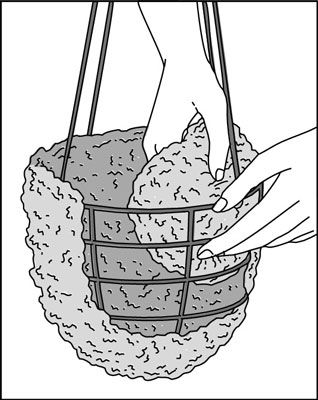 How to Plant Hanging Baskets - For Dummies Cheap Hanging Baskets, Drip Irrigation For Hanging Baskets, Greenhouse Hanging Baskets, Plant Painting Art, Macrame Wire Basket, Hanging Metal Baskets, Plastic Hanging Baskets, Gardening For Dummies, Hanging Plants Outdoor