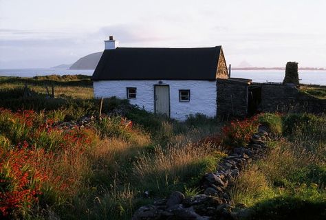 pagewoman: Cottage, near Dunquin, Dingle peninsula, Co Kerry,... Irish Images, Dingle Peninsula, Kerry Ireland, Irish Cottage, Into The West, Camping Places, Cottage By The Sea, Aerial Photograph, Muted Blue