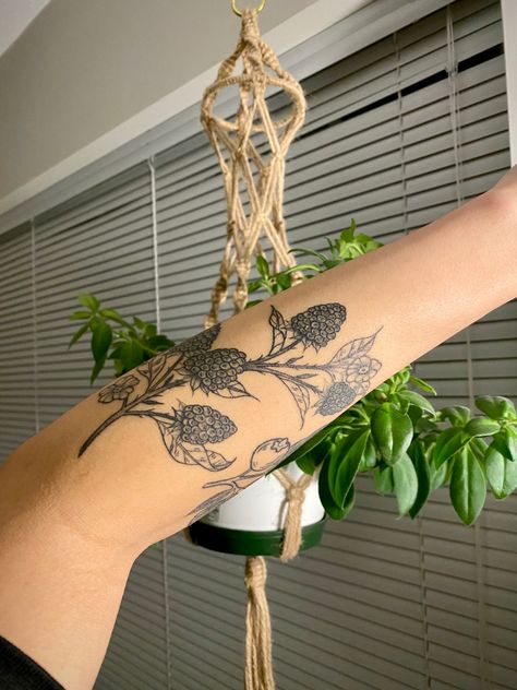 Blackberry Arm Tattoo, Floral Patchwork Sleeve Tattoo, Blackberry Bush Tattoo, Blackberry Tattoos, Nature Patchwork Tattoo Sleeve, Tattoo Ideas Large, Arm Pit Tattoo, Blackberry Vine Tattoo, Blackberries Tattoo