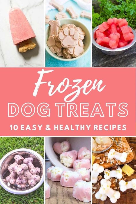 #healthydogtreats, #summertimetreats, #frozendogtreats, #healthydogrecipes, #besttreatsforchihuahuas, #easychihuahuatreats, #easydogtreats Homemade Frozen Dog Treats, Frozen Dog Treats Recipes, Frozen Dog Treats Homemade, Pet Treats Recipes, Easy Dog Treat Recipes, Dog Treats Homemade Easy, Frozen Dog Treats, Dog Biscuit Recipes, Easy Dog Treats