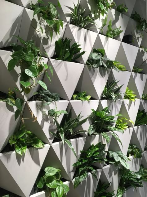 The W90 system is a premium vertical garden for interiors as well as outdoor facades. It combines quality materials, sophisticated system and original design that creates a unique atmosphere in the space. Hydroponic Interior Design, Vertical Farming Design, Vertical Garden Wall Design, Indoor Vertical Garden Wall, Modern Vertical Garden, Modular Planter, Wall Plants Indoor, Green Wall Garden, Living Wall Indoor