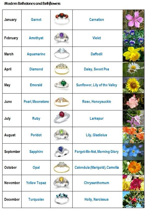 August+Birth+Month+Flower | Birth stones and birth flowers - Kiwi Families Flower Of The Month Chart, Flower Meanings Chart, Flower Facts, Stones Tattoo, Tattoo Chart, Birthday Month Flowers, Birth Stones Chart, Soya Mumu, Birth Flower Tattoos