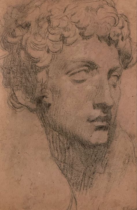 Jacopo Tintoretto - Study of the head of Giuliano  de’ Medici by Michelangelo - drawing - Walker Art Gallery Classic Greek Art, Classic Art Sketches, Old Art Drawing, Classical Sketch, Master Works Art, Famous Sketches, Classical Drawing, Michelangelo Anatomy, Michelangelo Drawings